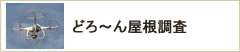 どろ～ん屋根調査